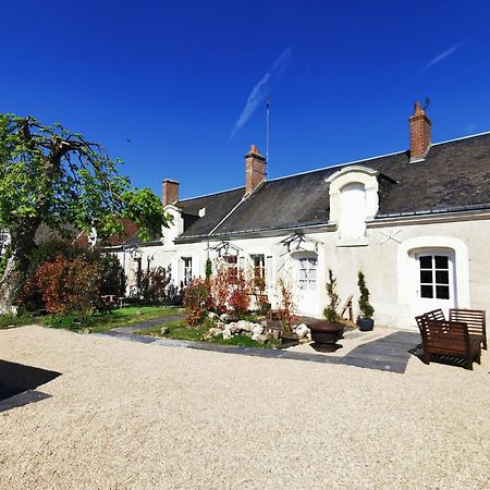 La Jacquiere Bed and Breakfast Chaumont-sur-Loire Eksteriør billede