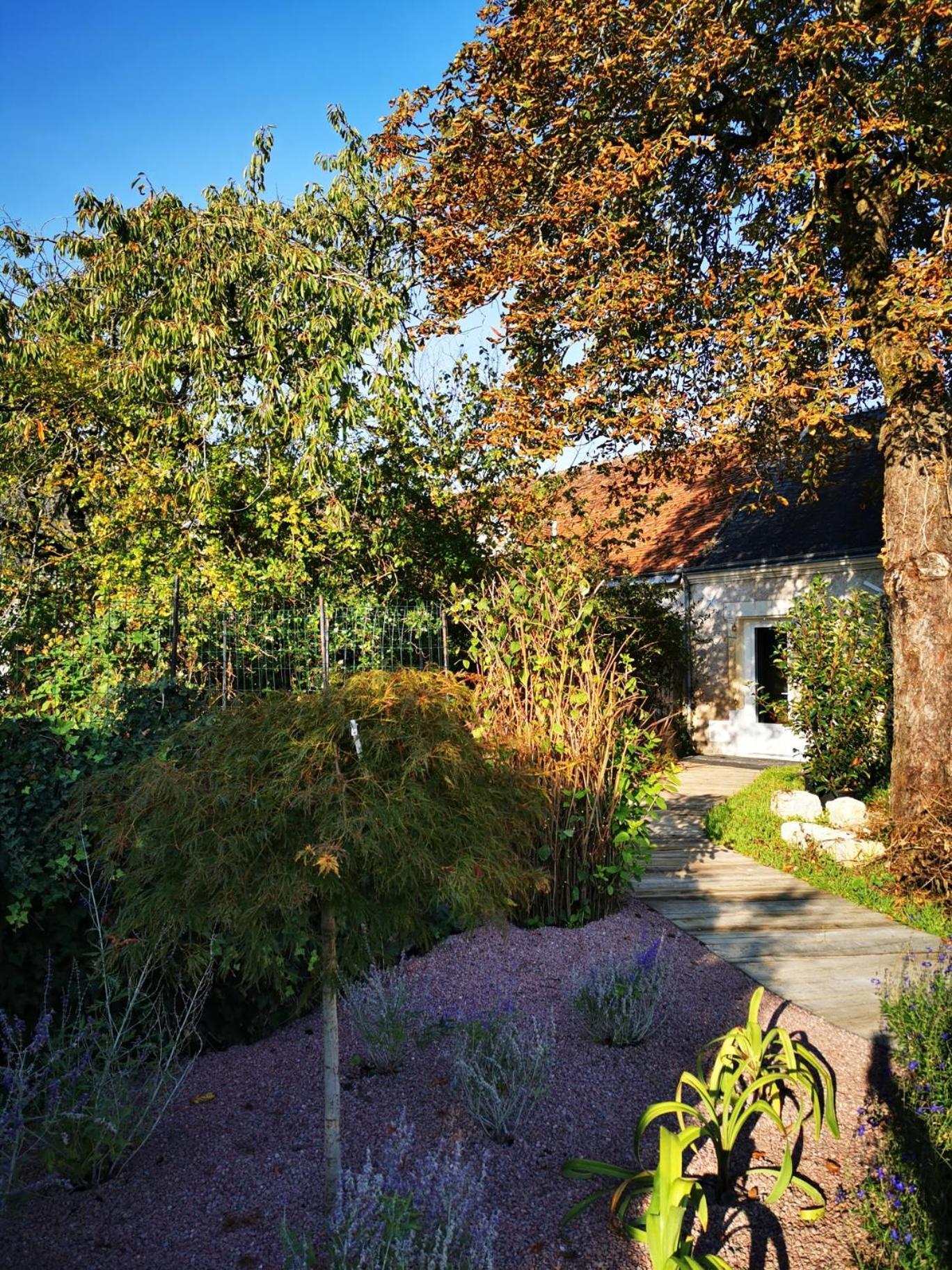 La Jacquiere Bed and Breakfast Chaumont-sur-Loire Eksteriør billede
